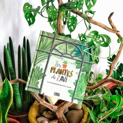 Les plantes de l’avi (català)