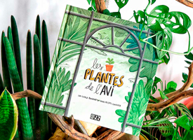 Album ilustrado Les plantes de l’avi